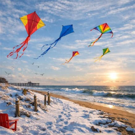 Kites Over the Winter Shore
