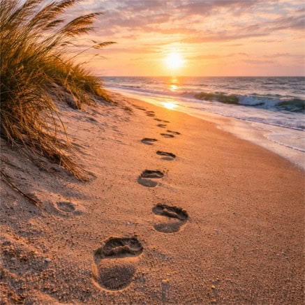 Morning footsteps on the shore