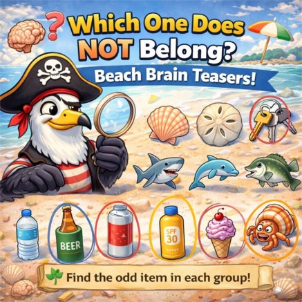 Beach brain teaser challenge with Gulliver