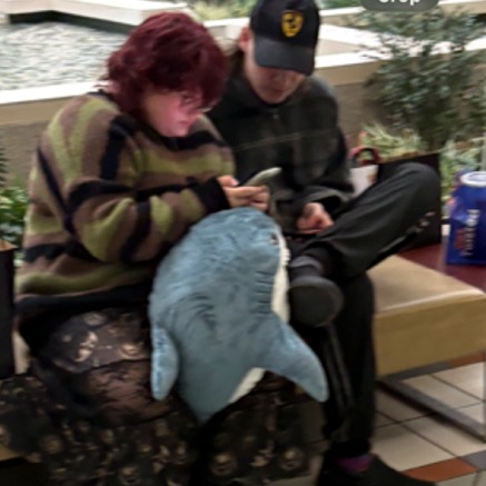 Mall Bench Mood: The Great Shark Pillow Scroll
