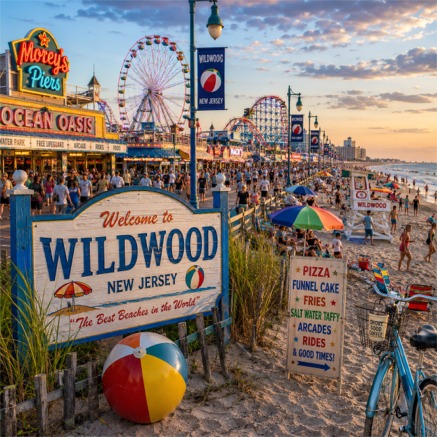 Wildwood Introduction
